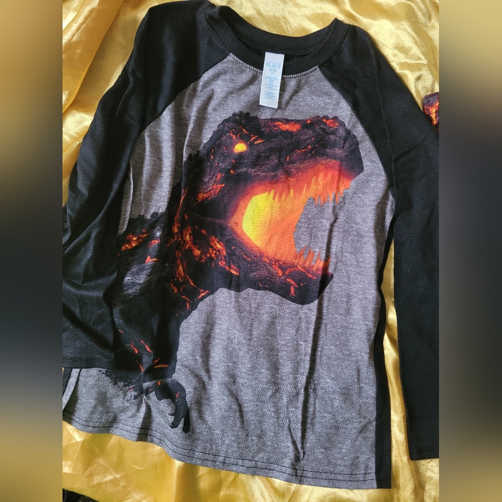 Black and Gray Dinosaur Graphic Long Sleeve Pajama Set XL14